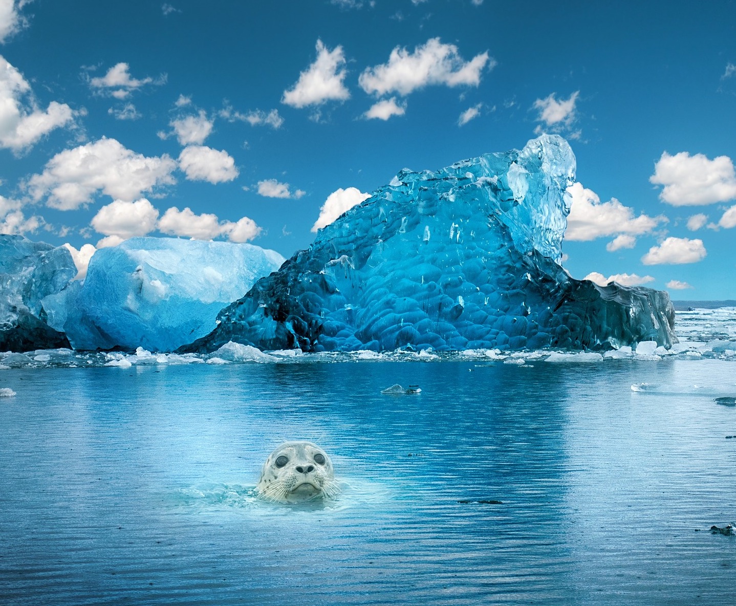 Iceberg