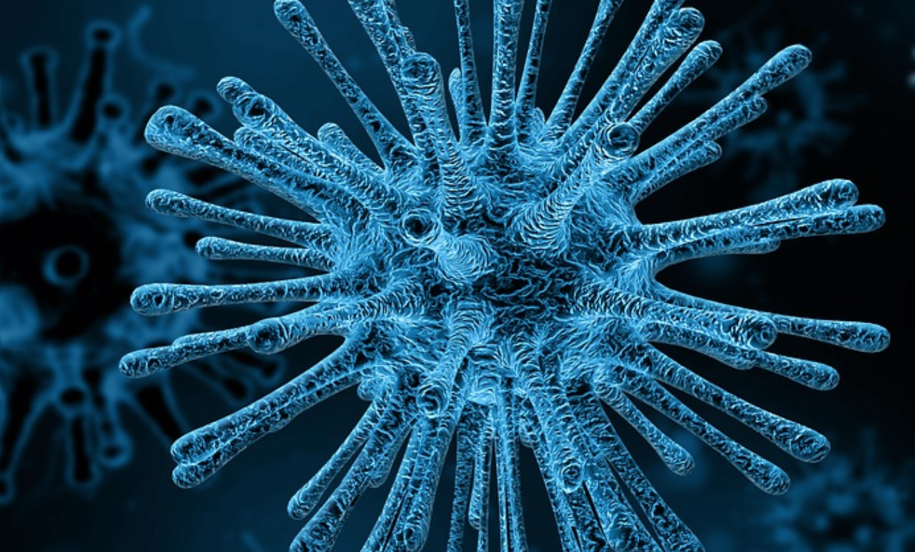 Microbe