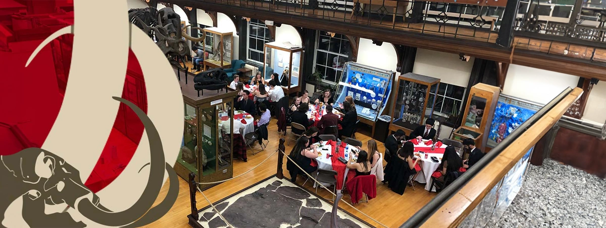 Dinner event in the museum