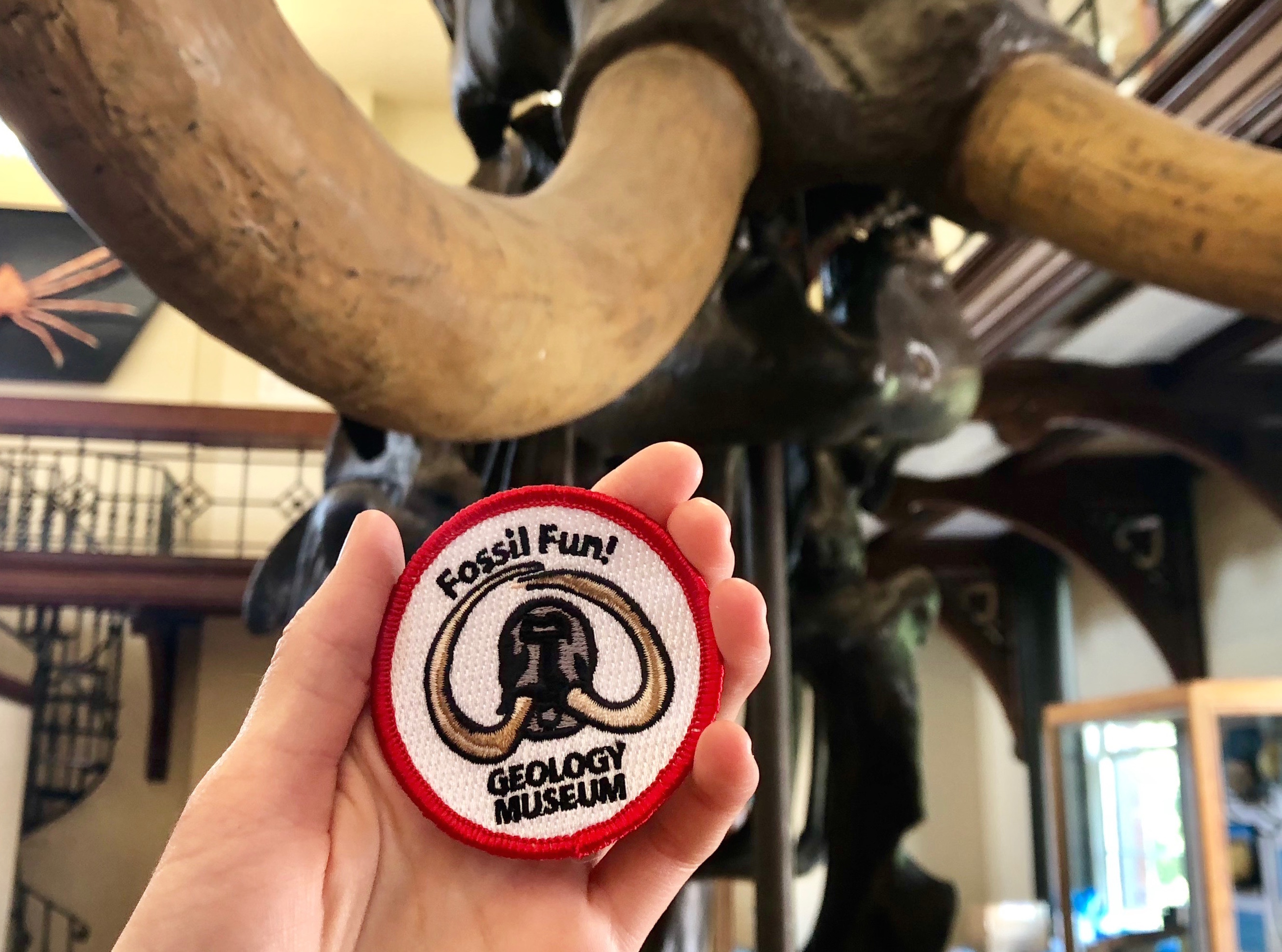Fossil Fun Tour Patch