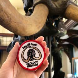 New Patch Tours for Girl and Boy Scout Groups