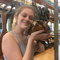 Student, Camryn Kozachek, Presents at National Conference! 