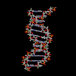Microscopic Worms May be the Key to Understanding the Inheritance of Acquired Characteristics