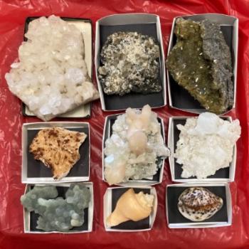 Fossil and Mineral Identification