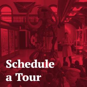Schedule a Tour